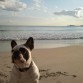 le encanta la playa